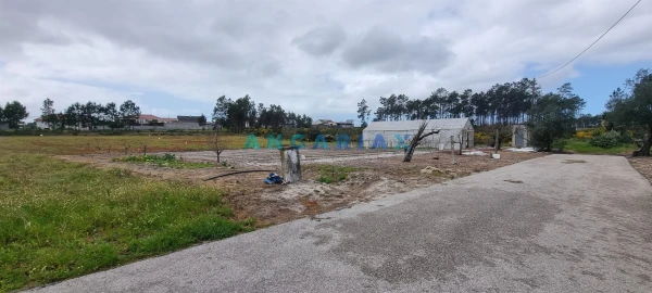 Terreno para Venda em Monte Redondo e Carreira