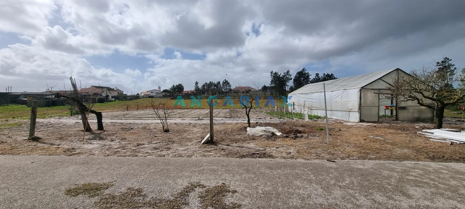 Terreno para Venda em Monte Redondo e Carreira Foto 3