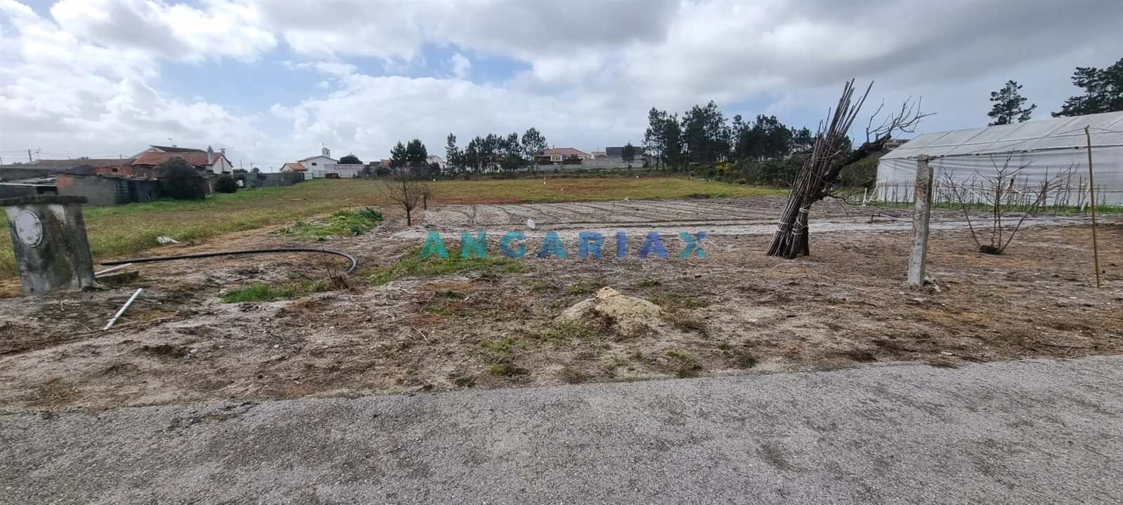 Terreno para Venda em Monte Redondo e Carreira Foto 14