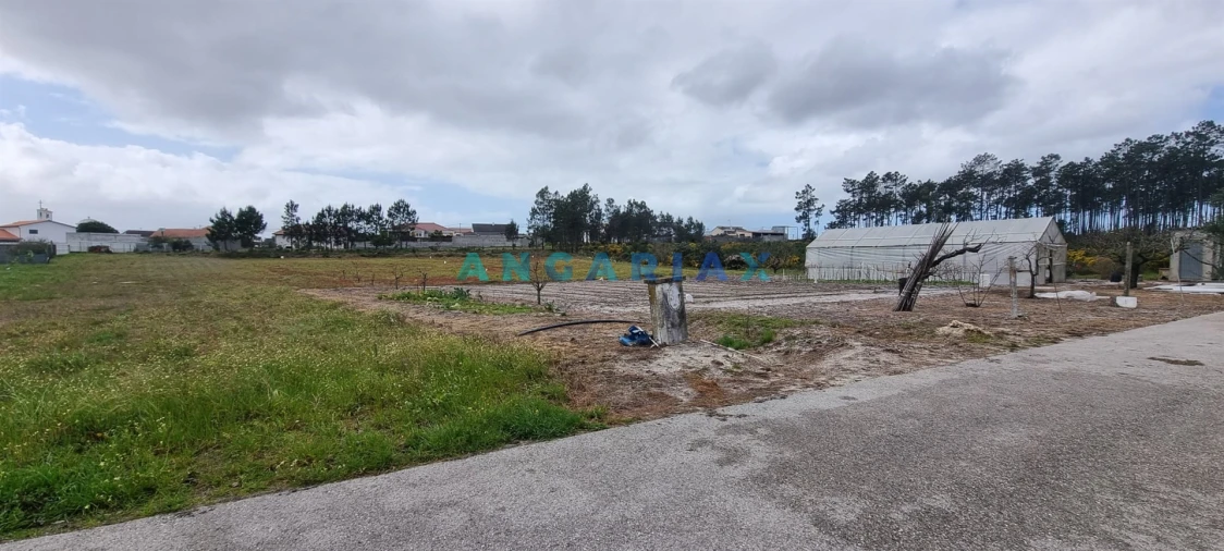 Terreno para Venda em Monte Redondo e Carreira Foto 2
