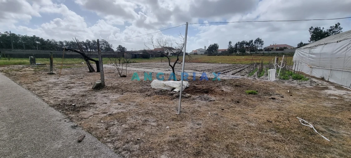 Terreno para Venda em Monte Redondo e Carreira Foto 12