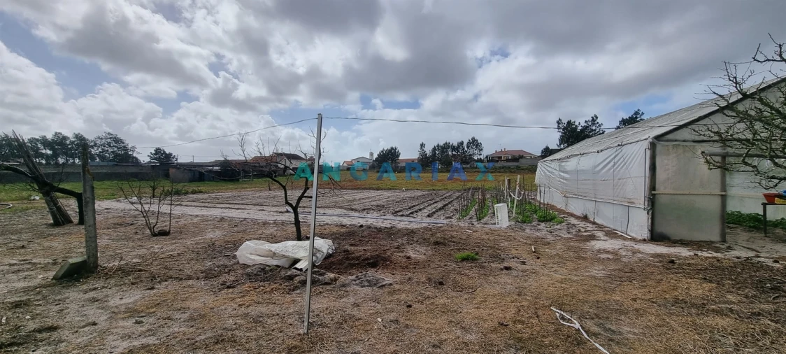 Terreno para Venda em Monte Redondo e Carreira Foto 13