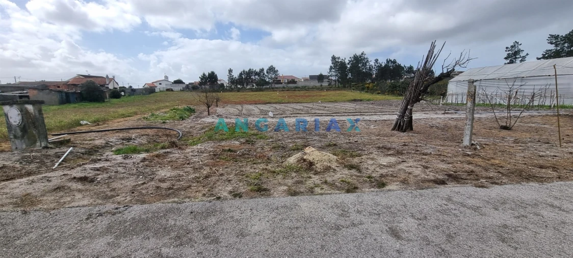 Terreno para Venda em Monte Redondo e Carreira Foto 14
