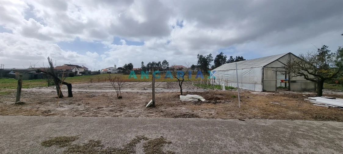 Terreno para Venda em Monte Redondo e Carreira Foto 15
