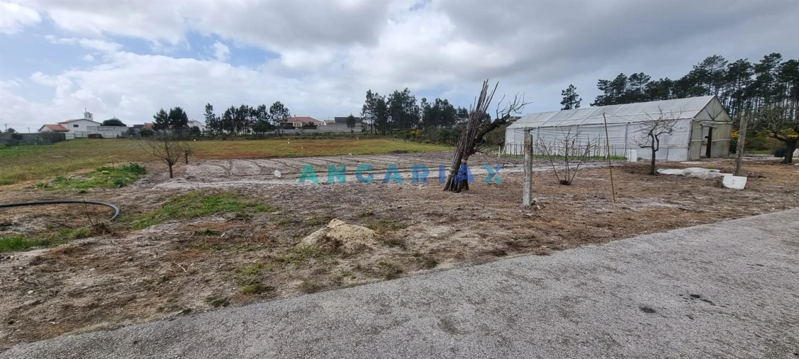Terreno para Venda em Monte Redondo e Carreira Foto 4
