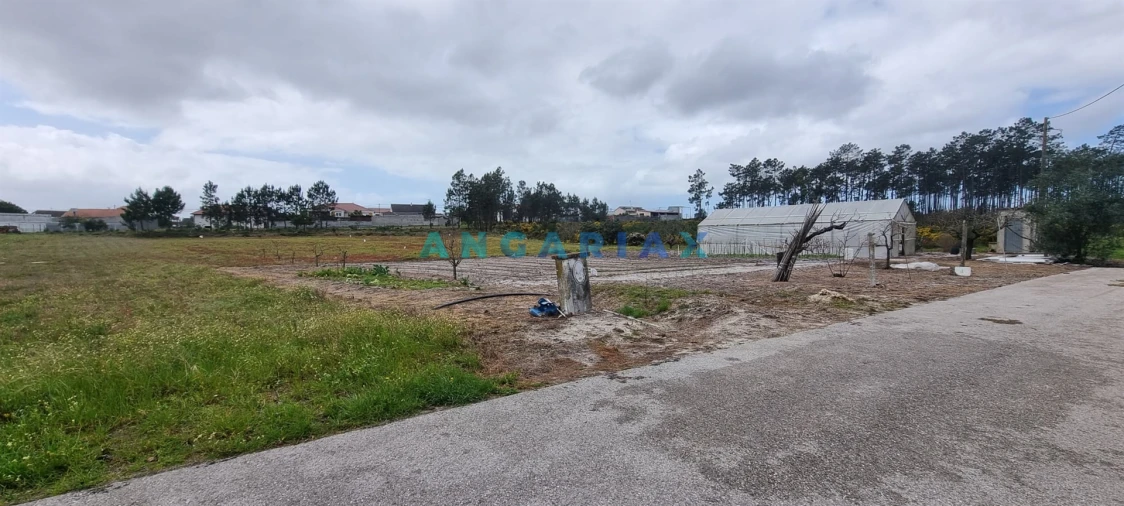 Terreno para Venda em Monte Redondo e Carreira Foto 9