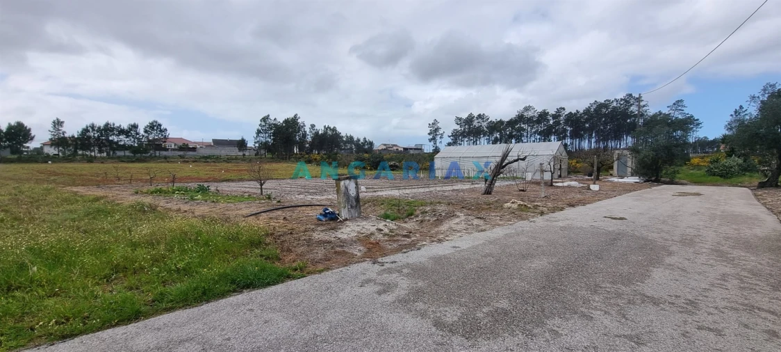 Terreno para Venda em Monte Redondo e Carreira Foto 10
