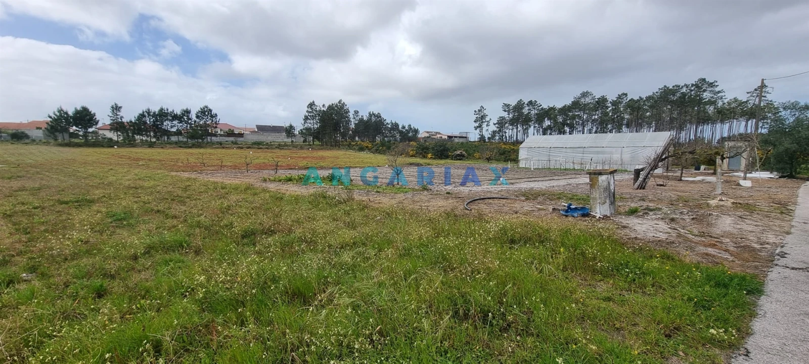 Terreno para Venda em Monte Redondo e Carreira Foto 1