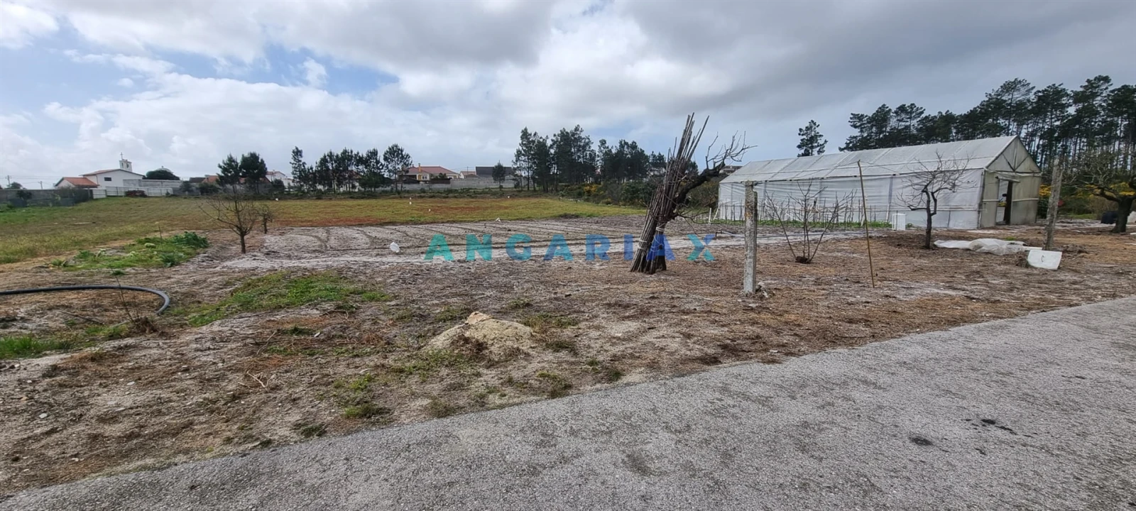 Terreno para Venda em Monte Redondo e Carreira Foto 4