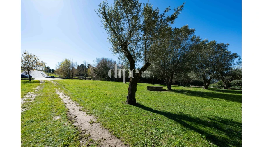 Terreno para Venda em Polvoreira Foto 9