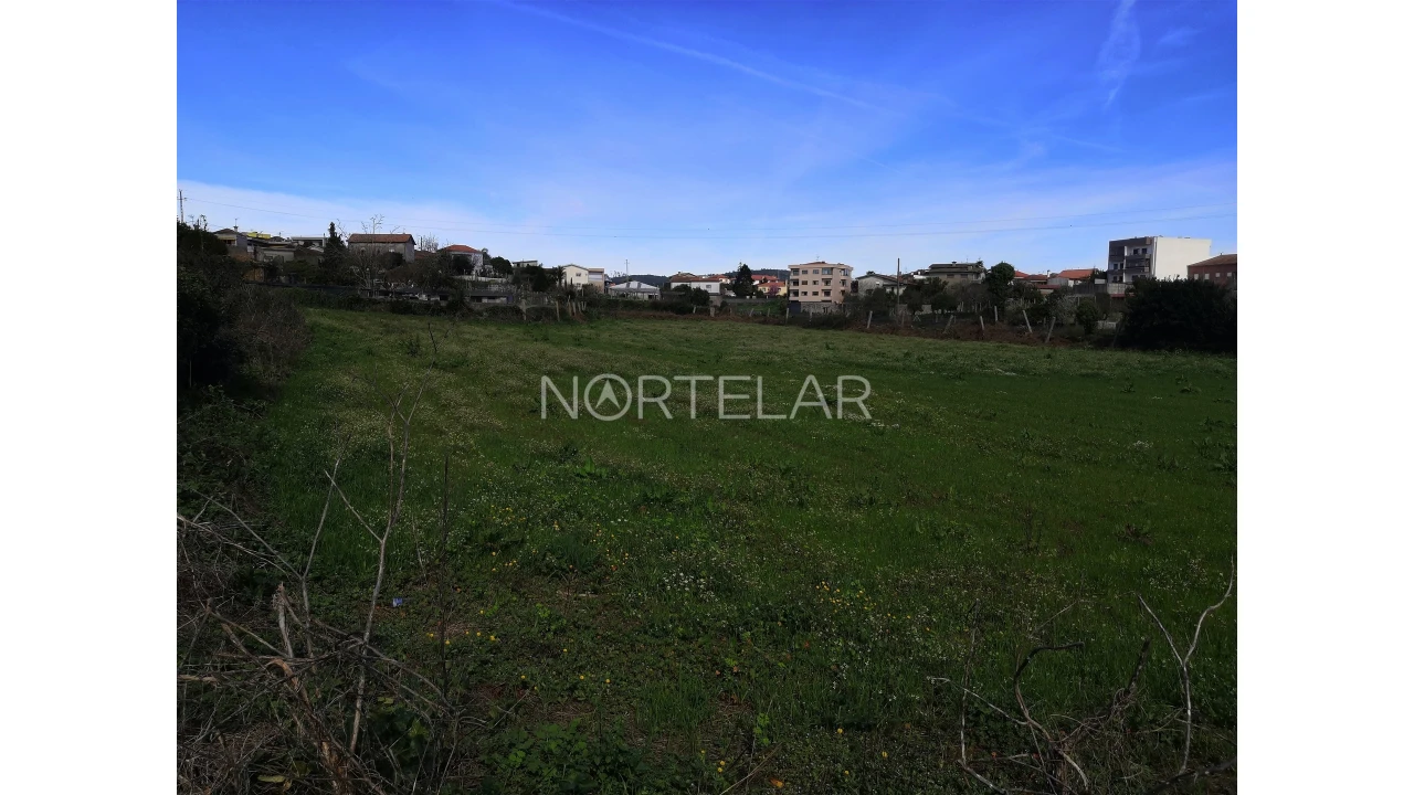 Terreno para Venda em Ribeirão Foto 4