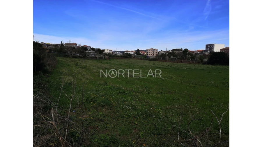 Terreno para Venda em Ribeirão Foto 4