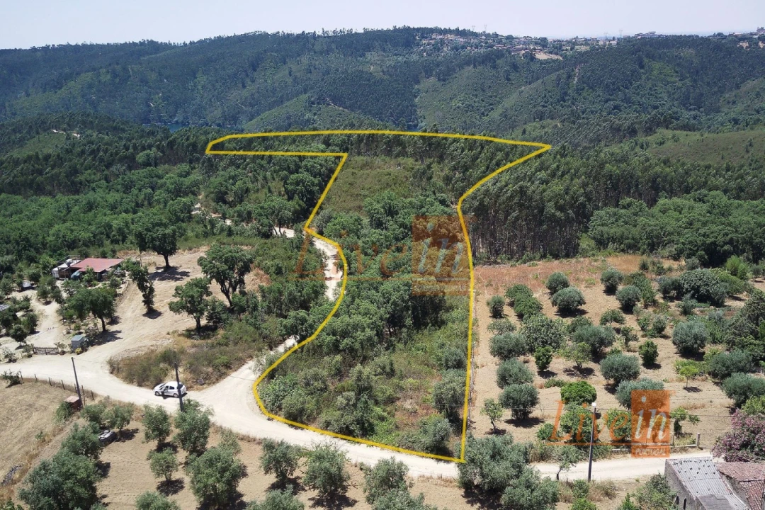 Terreno Agricola ou Rústico para Venda em Serra e Junceira Foto 2