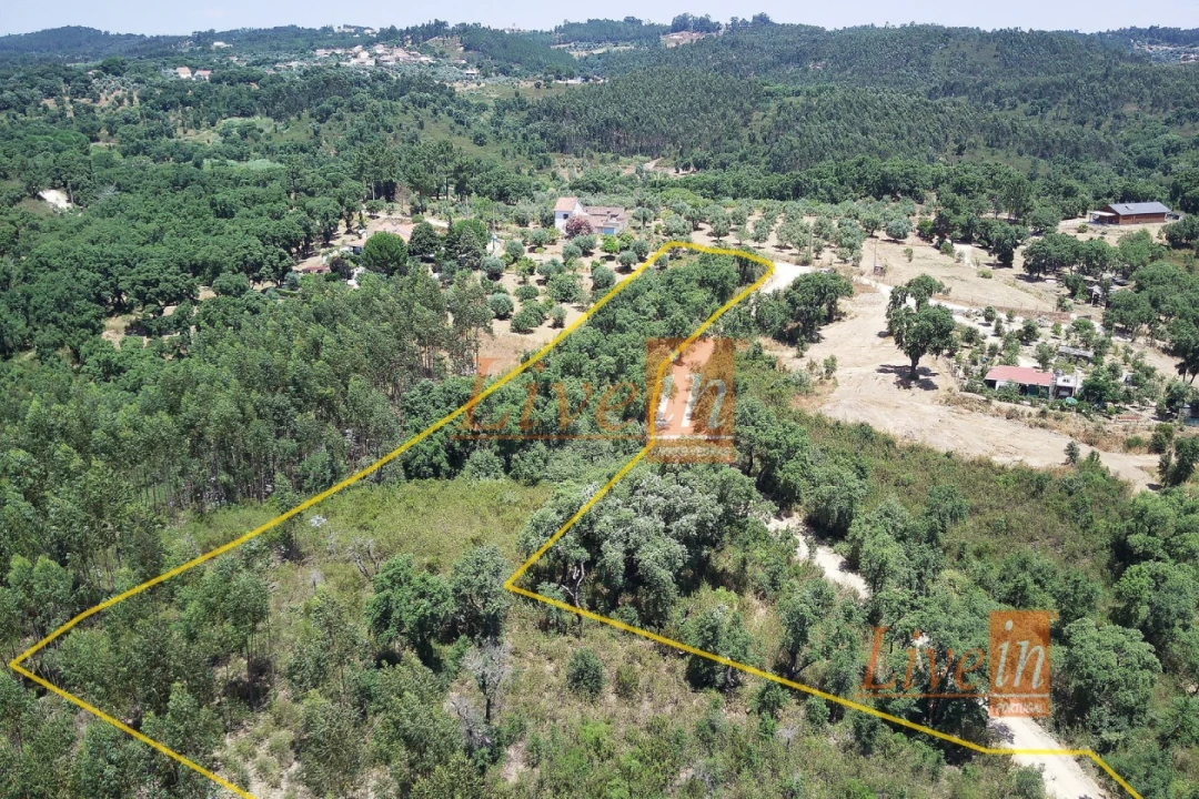 Terreno Agricola ou Rústico para Venda em Serra e Junceira Foto 3