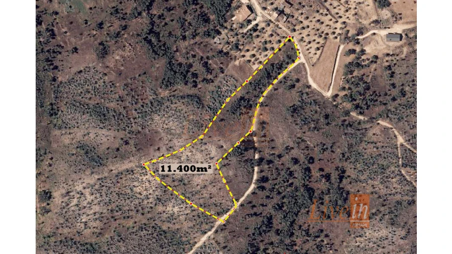 Terreno Agricola ou Rústico para Venda em Serra e Junceira Foto 6