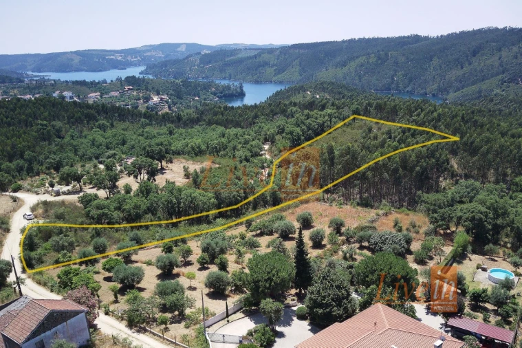 Terreno Agricola ou Rústico para Venda em Serra e Junceira