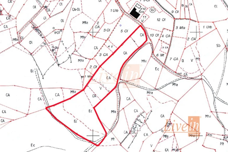 Terreno Agricola ou Rústico para Venda em Serra e Junceira Foto 7