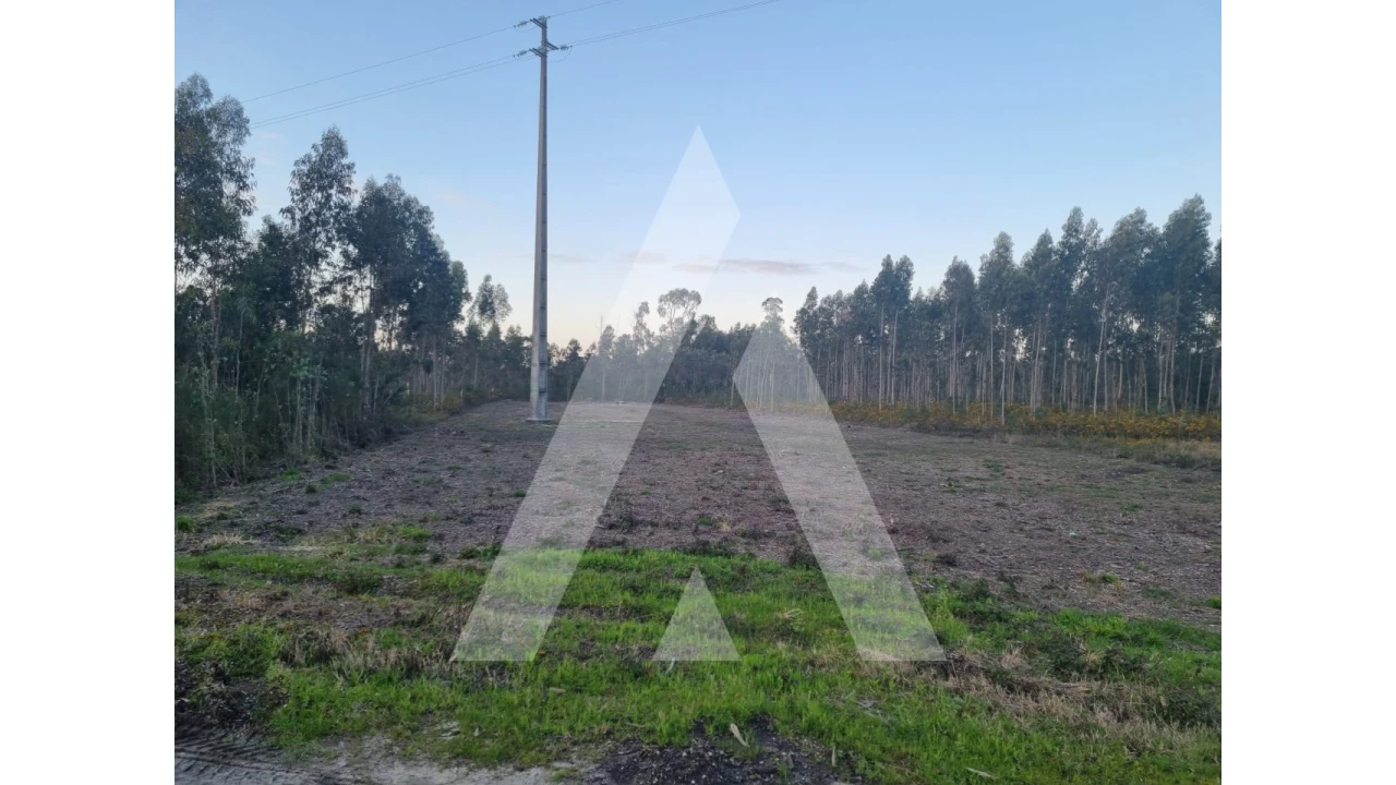 Terreno para Venda em Soza Foto 2