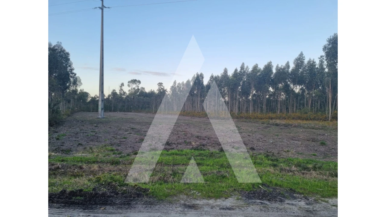 Terreno para Venda em Soza Foto 3