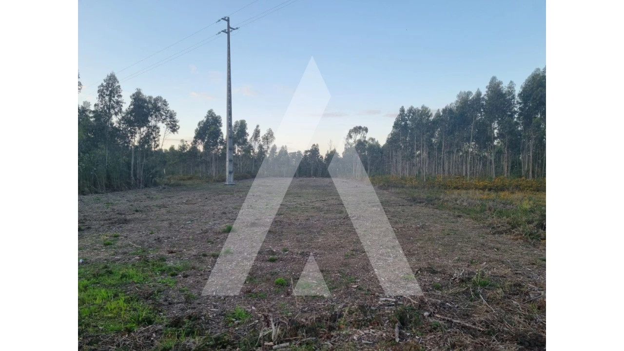 Terreno para Venda em Soza Foto 4