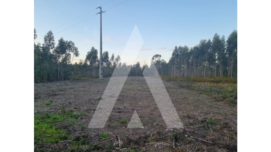 Terreno para Venda em Soza Foto 1