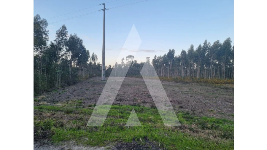 Terreno para Venda em Soza Foto 2