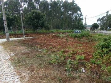 Terreno para Venda em São Felix da Marinha