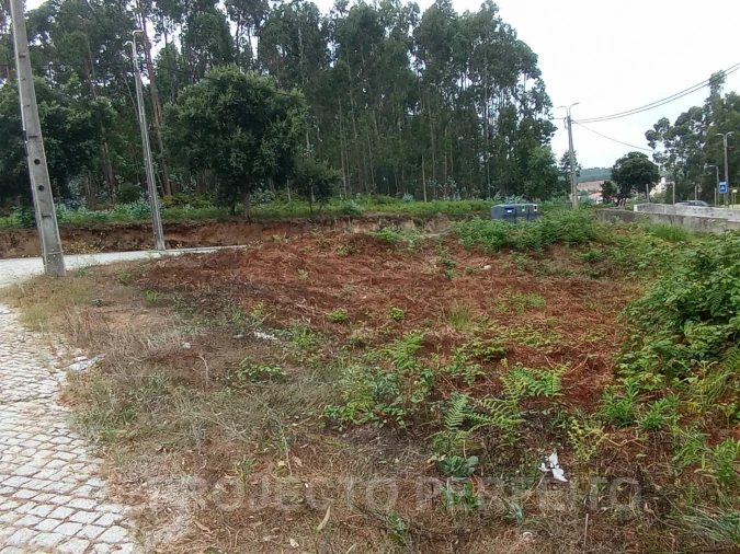 Terreno para Venda em São Felix da Marinha Foto 3
