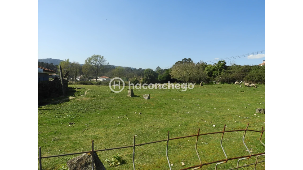 Terreno para Venda em Ucha Foto 5