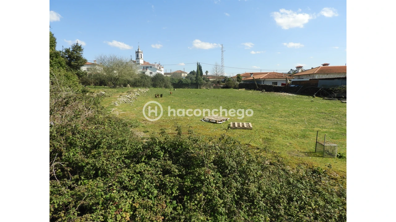 Terreno para Venda em Ucha Foto 8