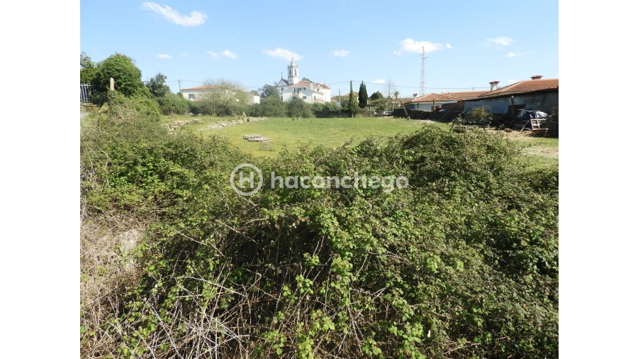 Terreno para Venda em Ucha Foto 13