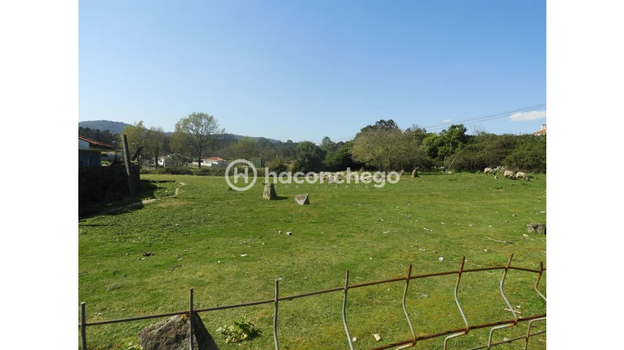 Terreno para Venda em Ucha Foto 5