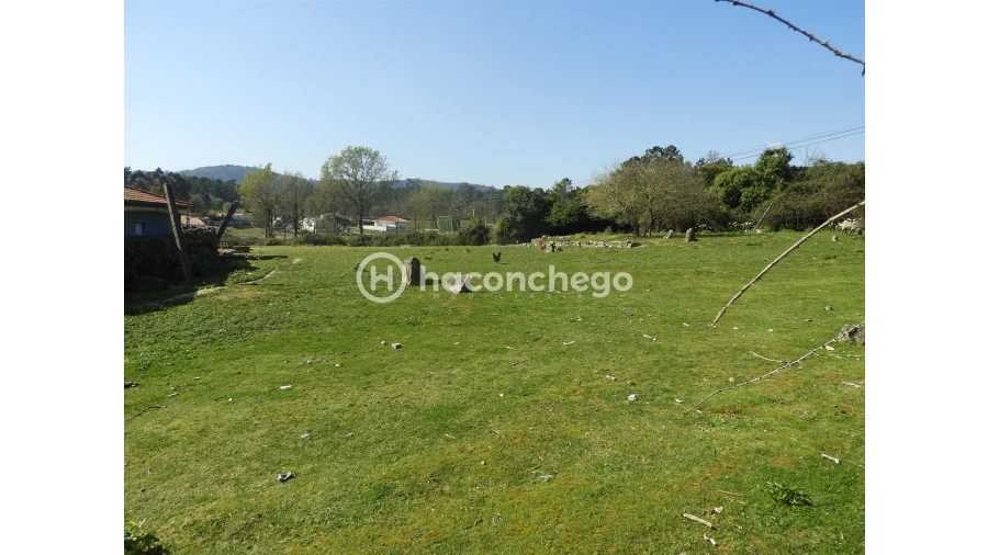 Terreno para Venda em Ucha Foto 3