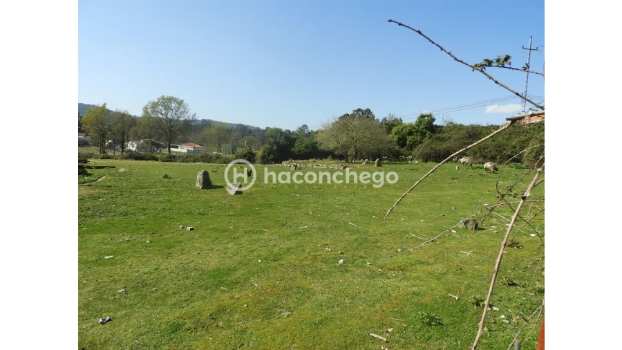 Terreno para Venda em Ucha Foto 2