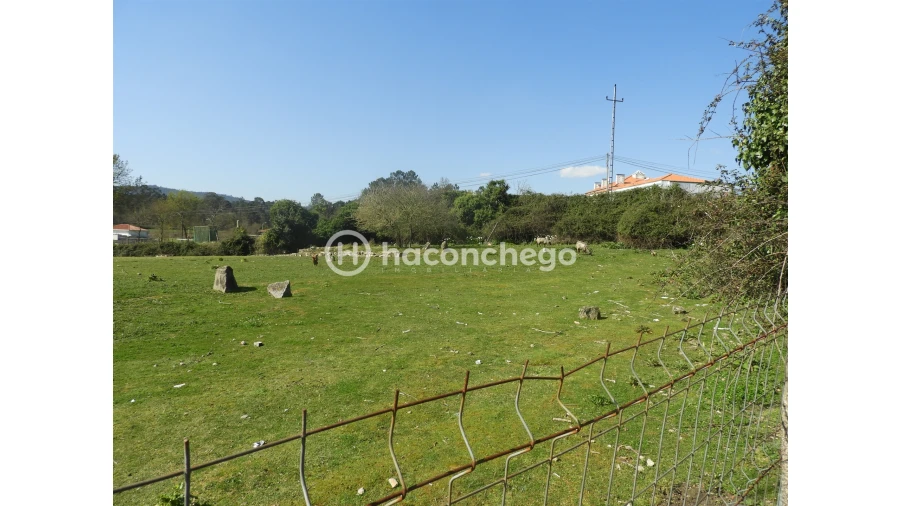 Terreno para Venda em Ucha Foto 4