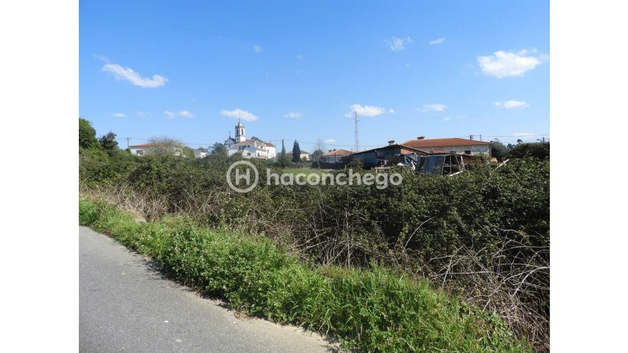 Terreno para Venda em Ucha Foto 12