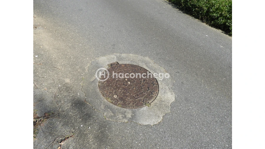 Terreno para Venda em Ucha Foto 15