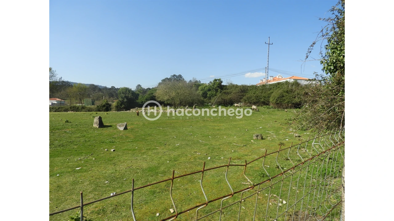 Terreno para Venda em Ucha Foto 4