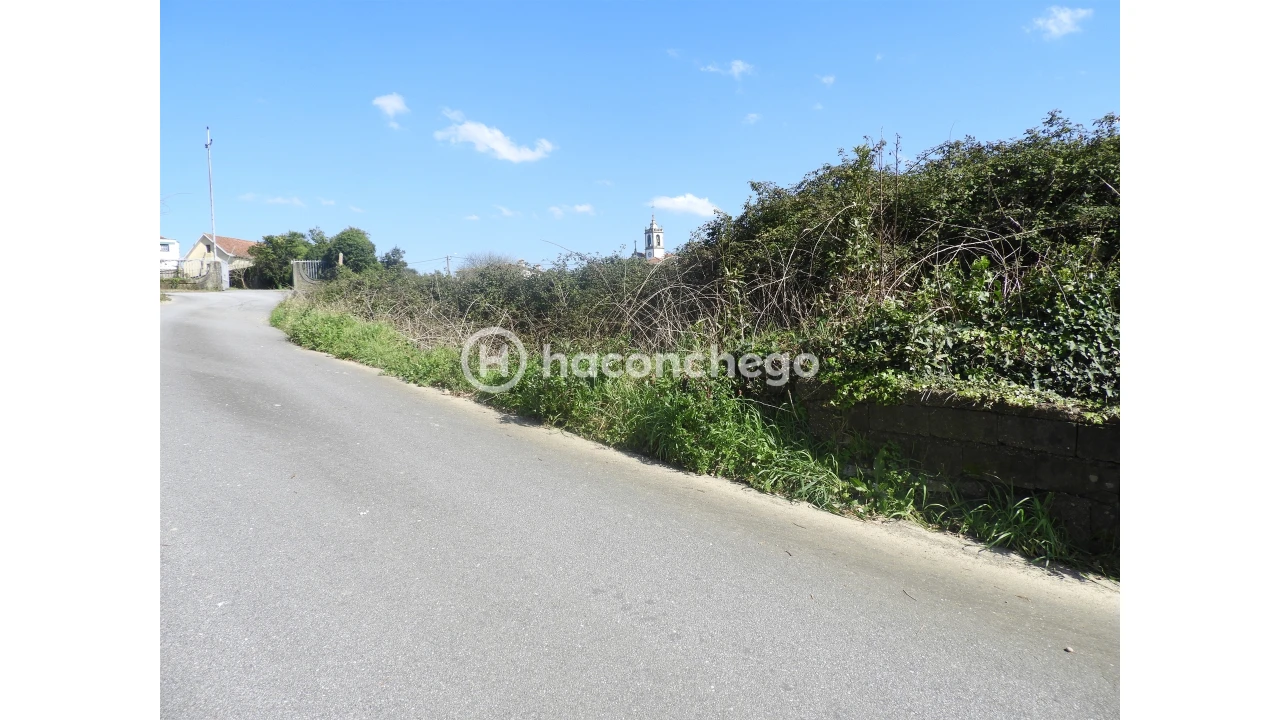 Terreno para Venda em Ucha Foto 14