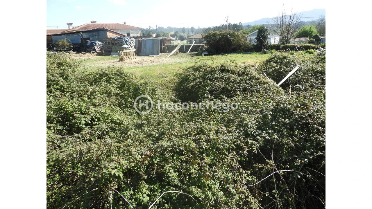 Terreno para Venda em Ucha Foto 11