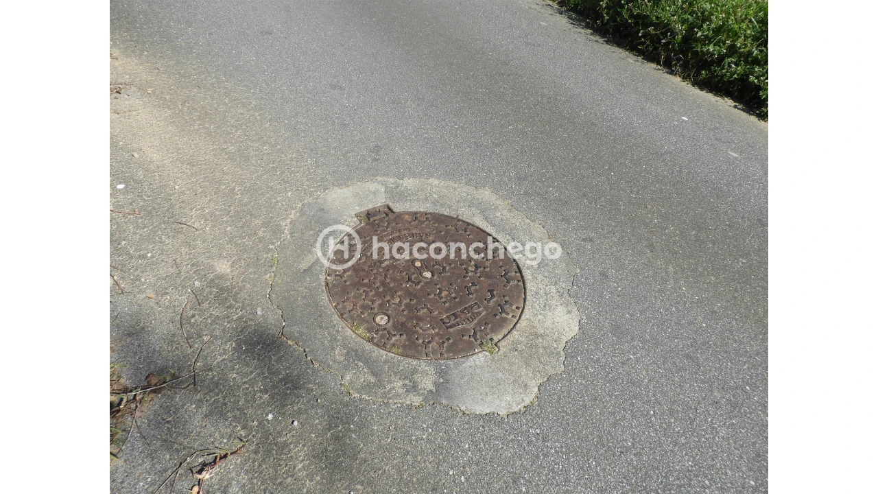 Terreno para Venda em Ucha Foto 15