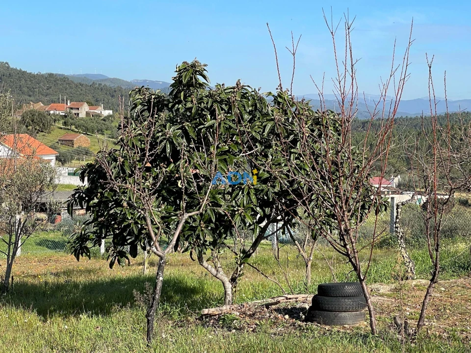 Terreno para Venda em Sarzedas Foto 22