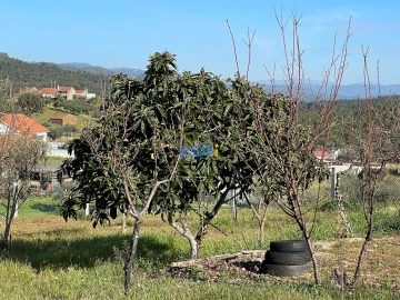 Terreno para Venda em Sarzedas