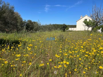 Terreno para Venda em Sarzedas