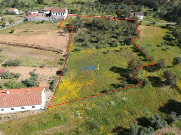 Terreno para Venda em Sarzedas