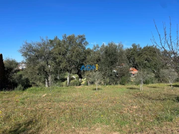 Terreno para Venda em Sarzedas