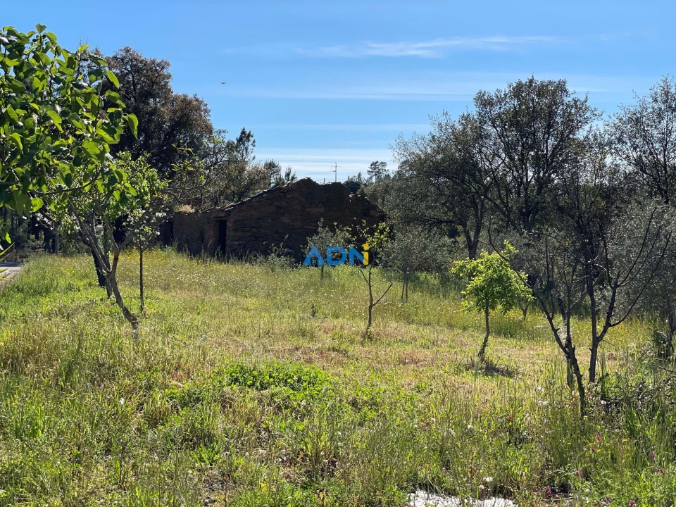 Terreno para Venda em Sarzedas Foto 10