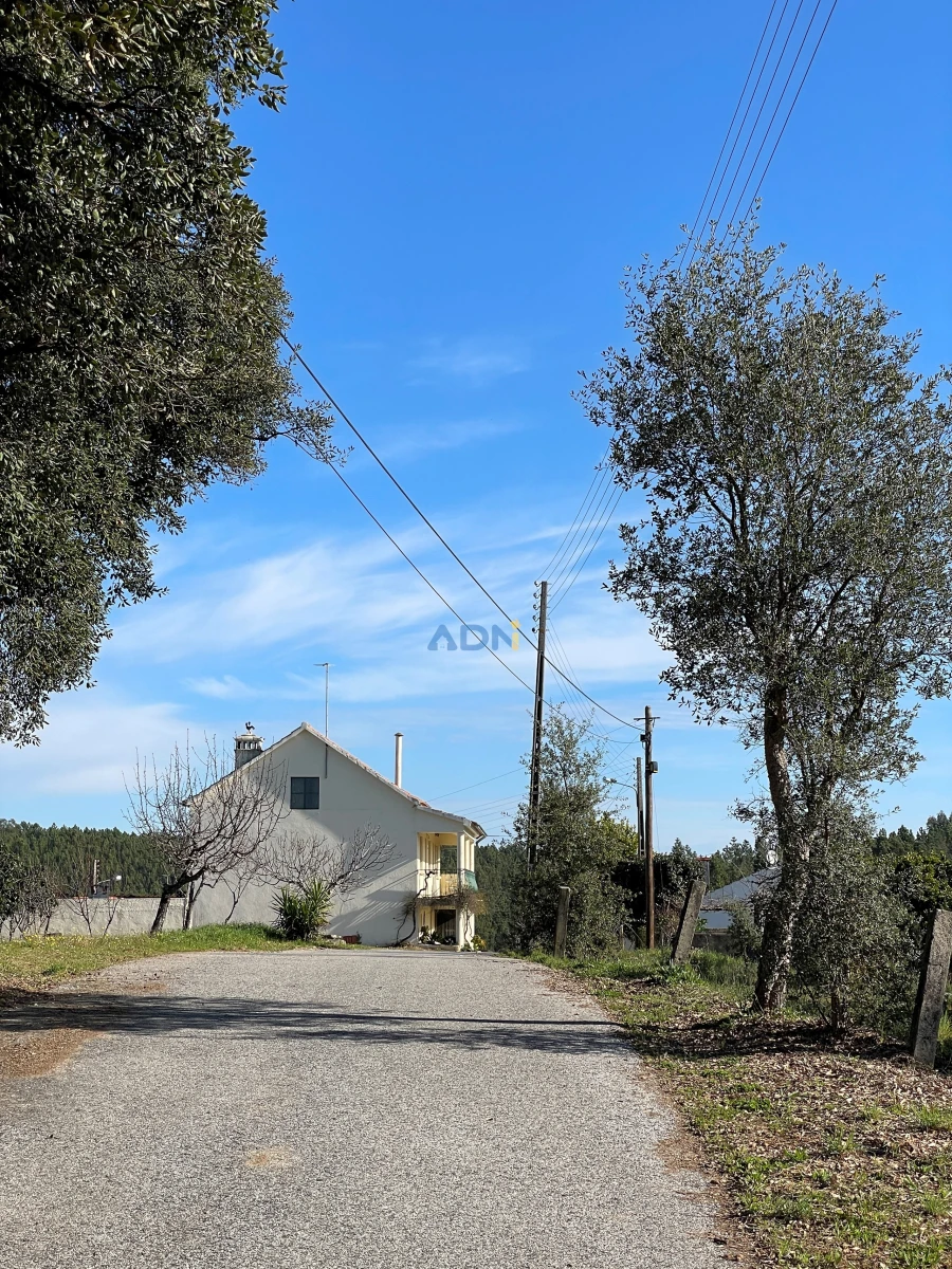 Terreno para Venda em Sarzedas Foto 31