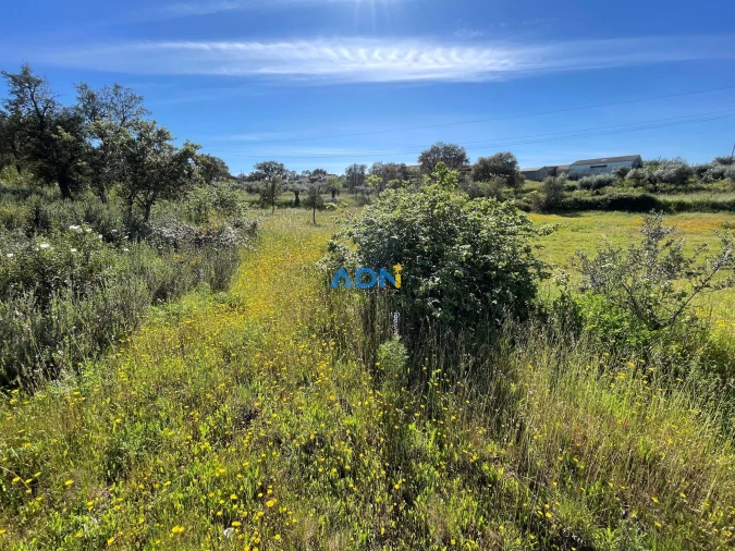 Terreno para Venda em Sarzedas Foto 30