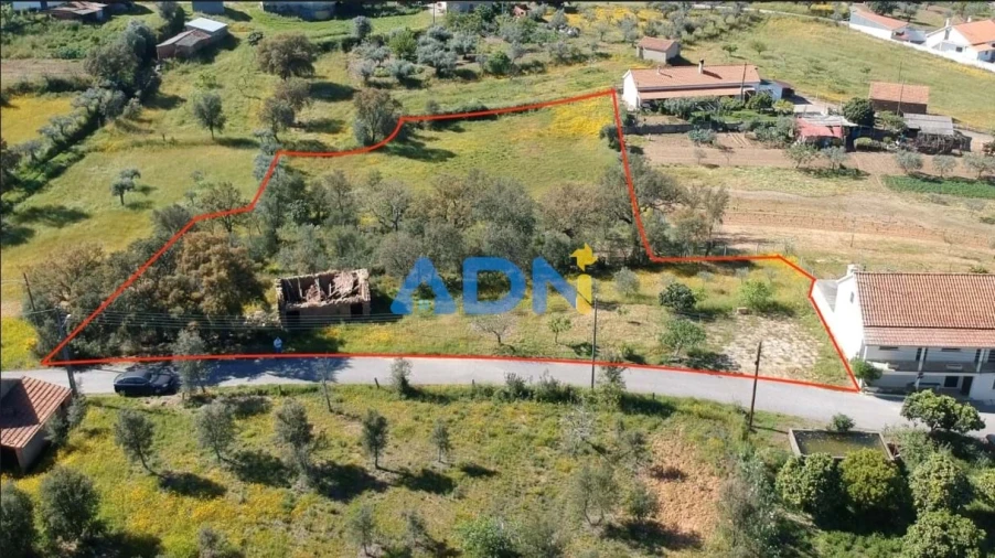 Terreno para Venda em Sarzedas Foto 3